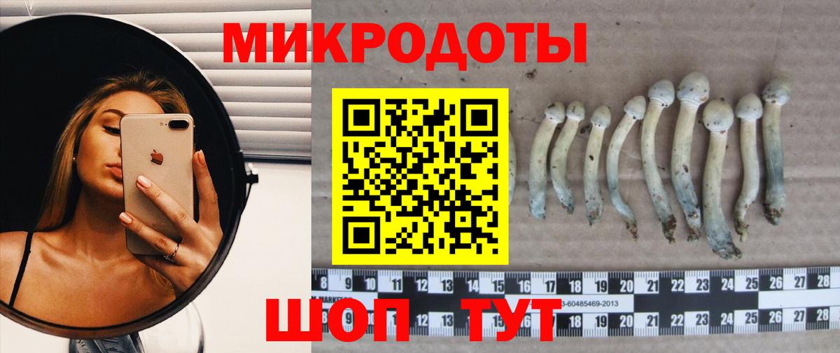 Галлюциногенные грибы мицелий Назарово